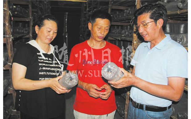 ������ּ�������