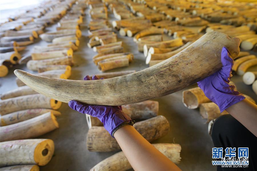 8.8�֣����������ƻ��ش�������˽��