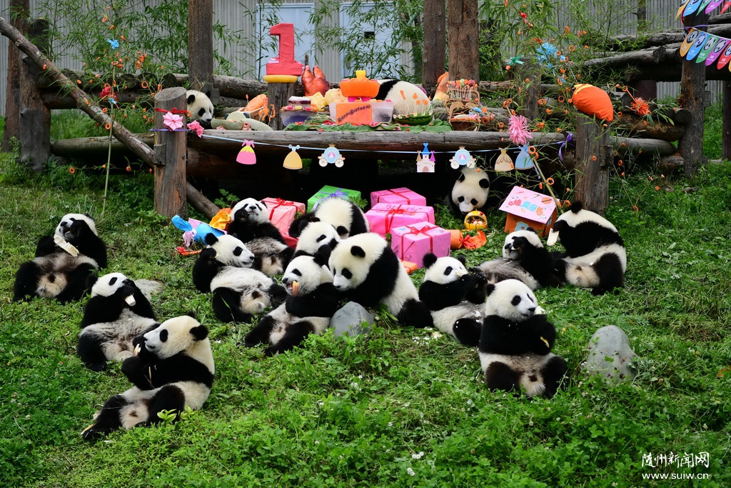 �Ĵ�������2018������Ĵ���è���м��������