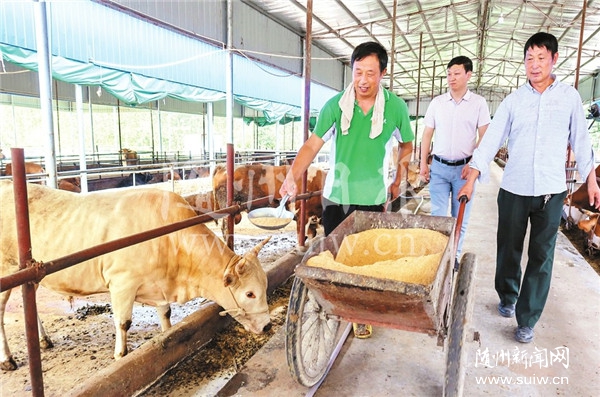 ���������ţרҵ������