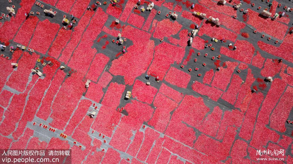 �½�����ɽ���·��Ѻ�