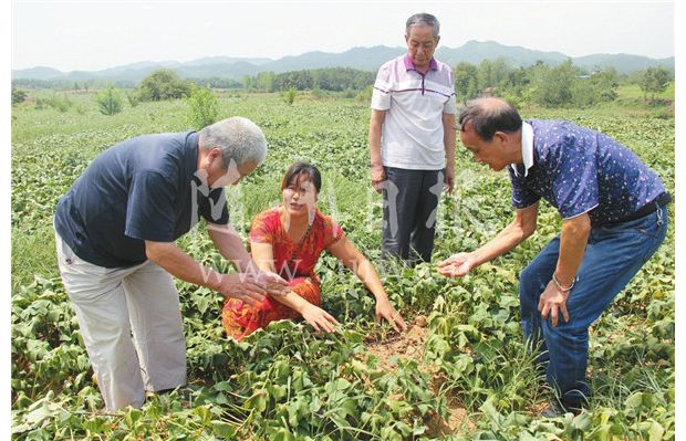 ר�ҡ����