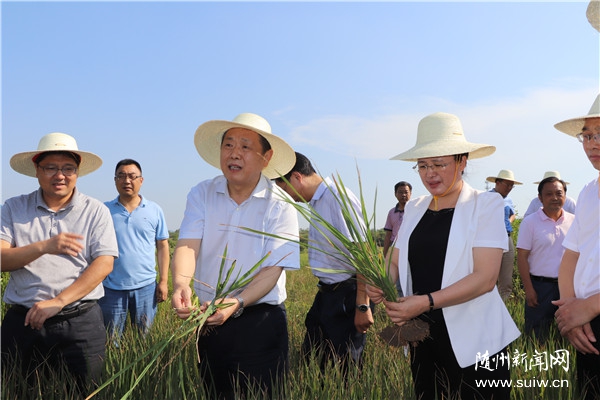 Ф�����������ָ�����������������