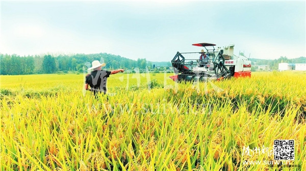 �����������ո�ͷ��