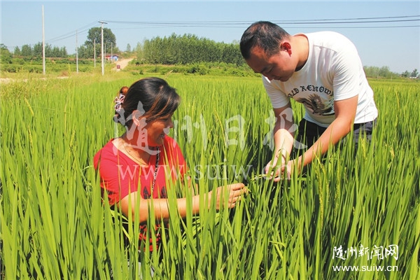 ֧��ũҵ��չ