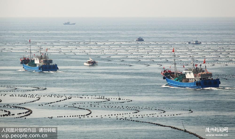 ���������ڽ�����ʽ���� ͷ������δ�´�������