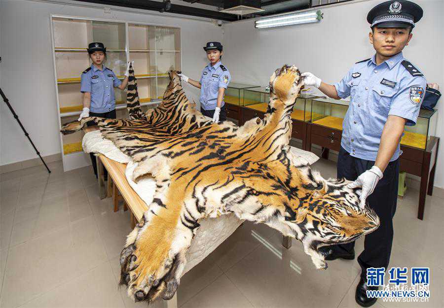 �������������������ƻ���˽300�����Σ���Ｐ����Ʒ������