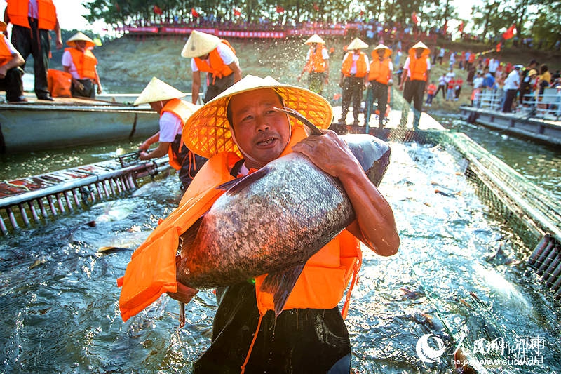 ��������������������������� ������