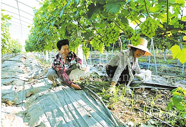 ̬԰֦߽ϽʢĶ԰԰ۺ