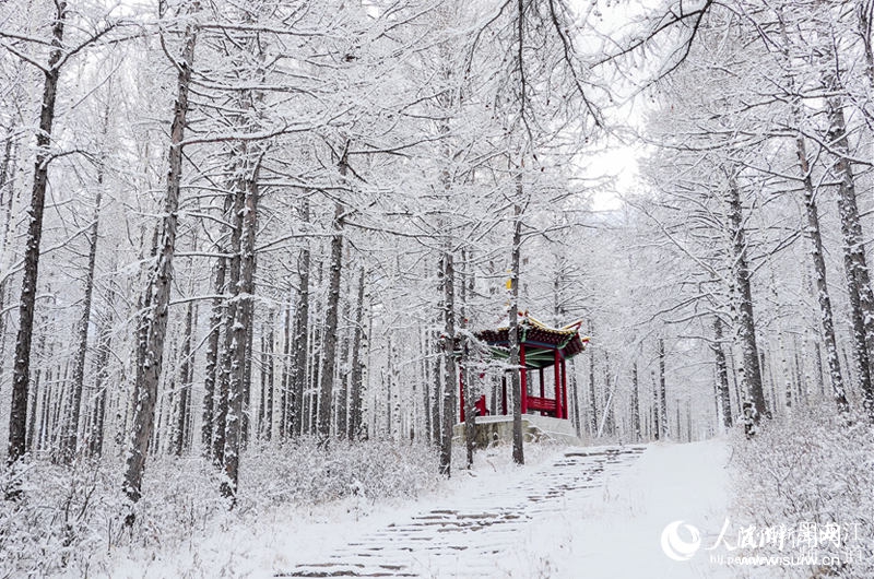 ���й�����С�򡱴��˰�������������ѩӭ����