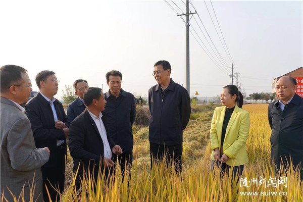 ����壺��ǿ���ŷ�ƶ��ҵ����ɫ��ҵ��չ����������ƶ����ɹ�