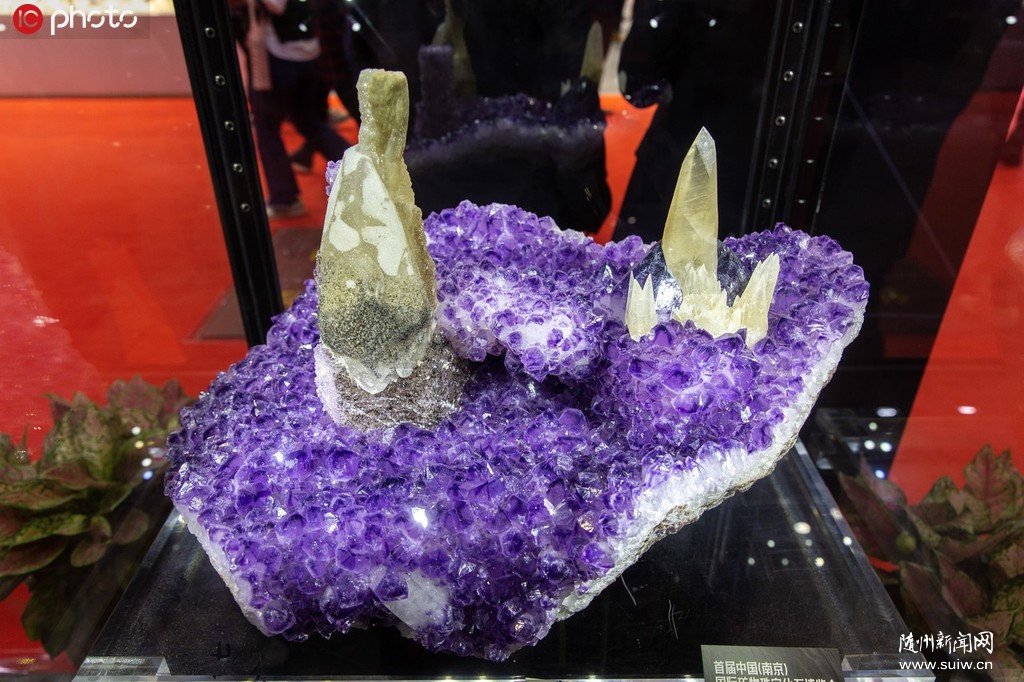 2019�ڶ����й����ʽ��ڲ����᣺��չ����Ө��͸