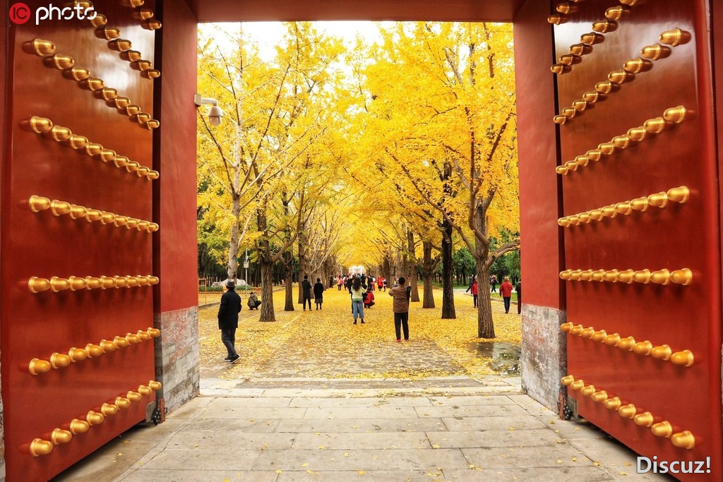 ������̳��԰���Ӵ����ƽ���·