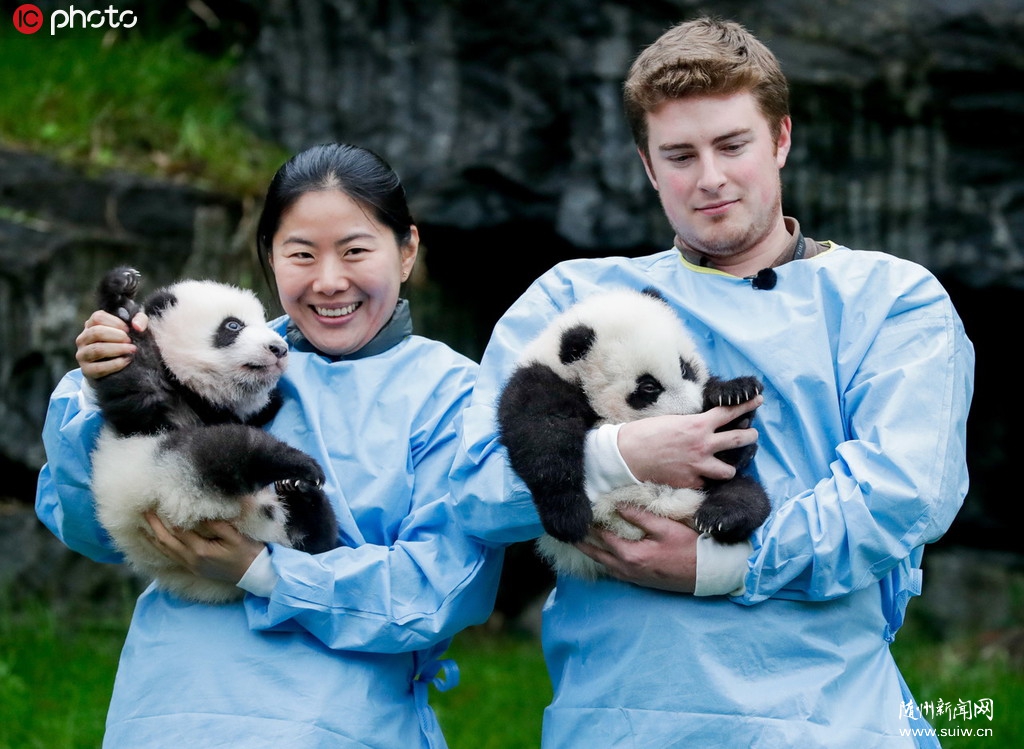 ����ʱ����˫��̥����è�������� ���ž�ͷ���к��ֹ�����