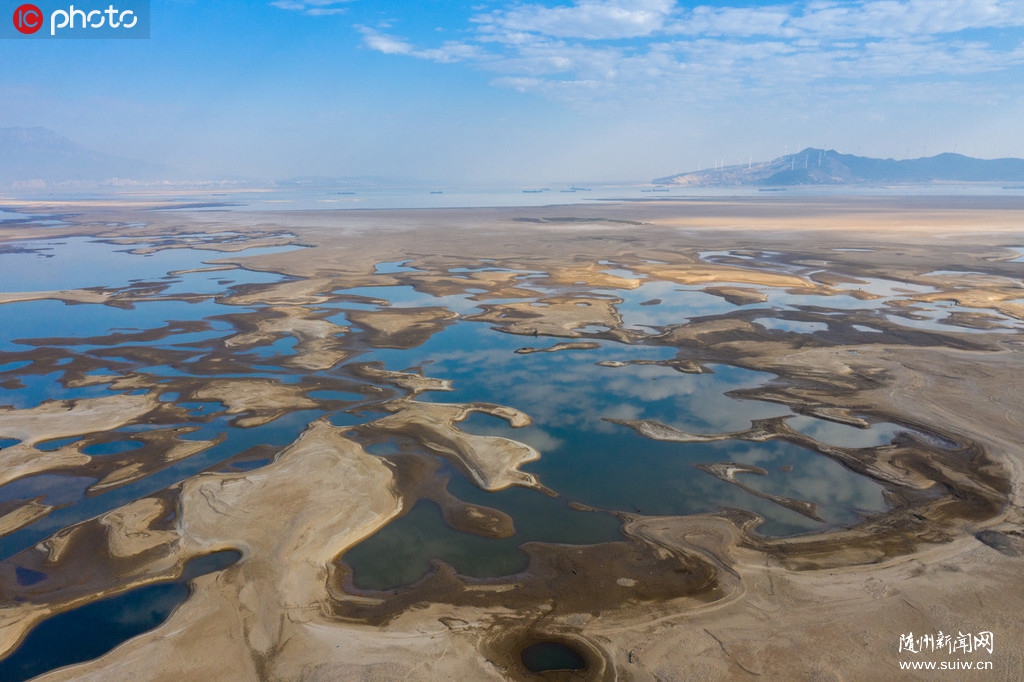 ����۶�����ɺ����� ���׹���«ݶʢ��