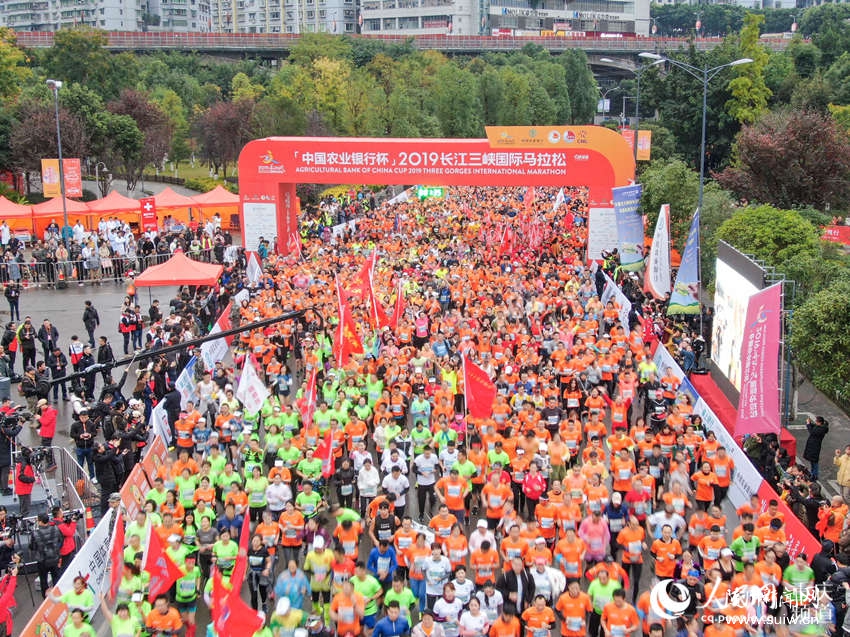 2019������Ͽ���������ɼ��鿪��