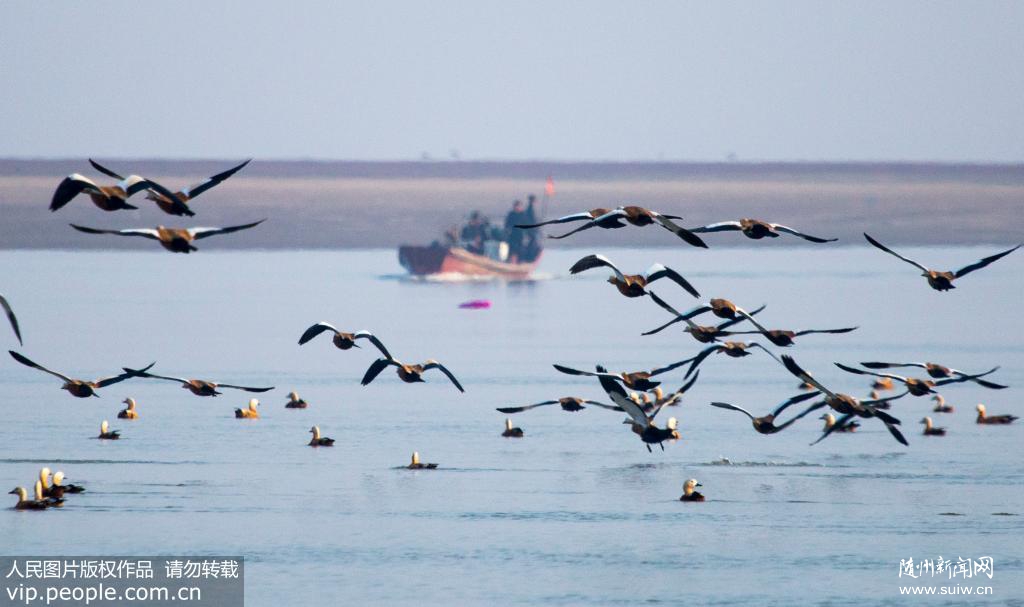 ����۶����ӭ������