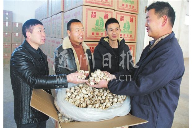 ���ʻ���������