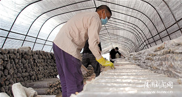 ���㹽֮�硱��ũʱ���г�