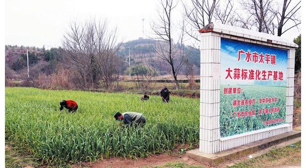 ����������� ��չũҵ����