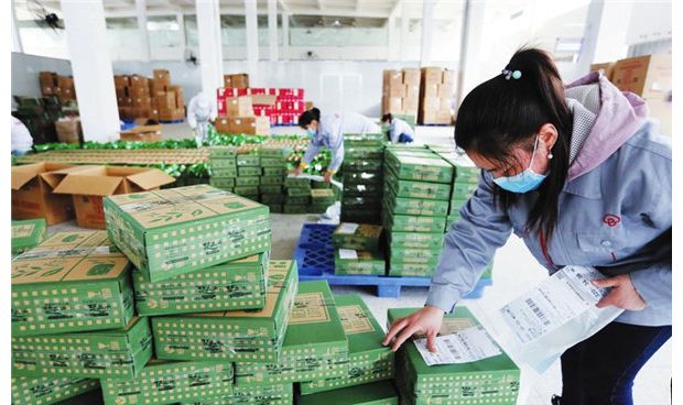 ƷԴʳƷ������