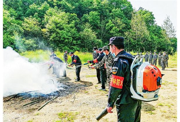 ɭ�ַ����Ԥ������