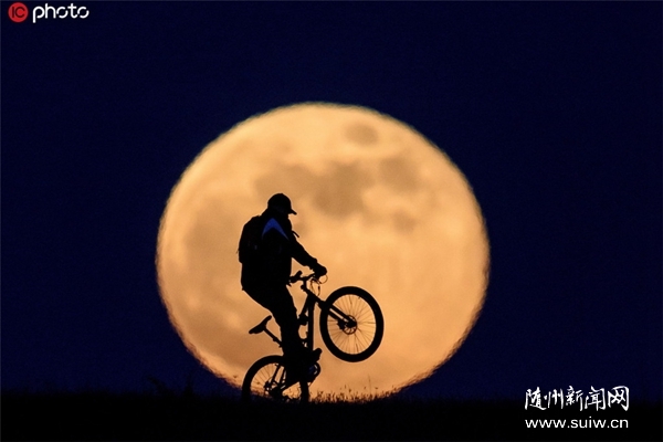 �����ձ���������Ա���������ս�������й������