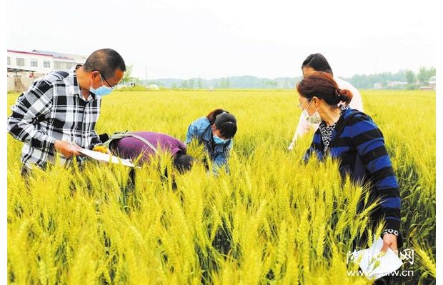 ��չ��������ũ�����