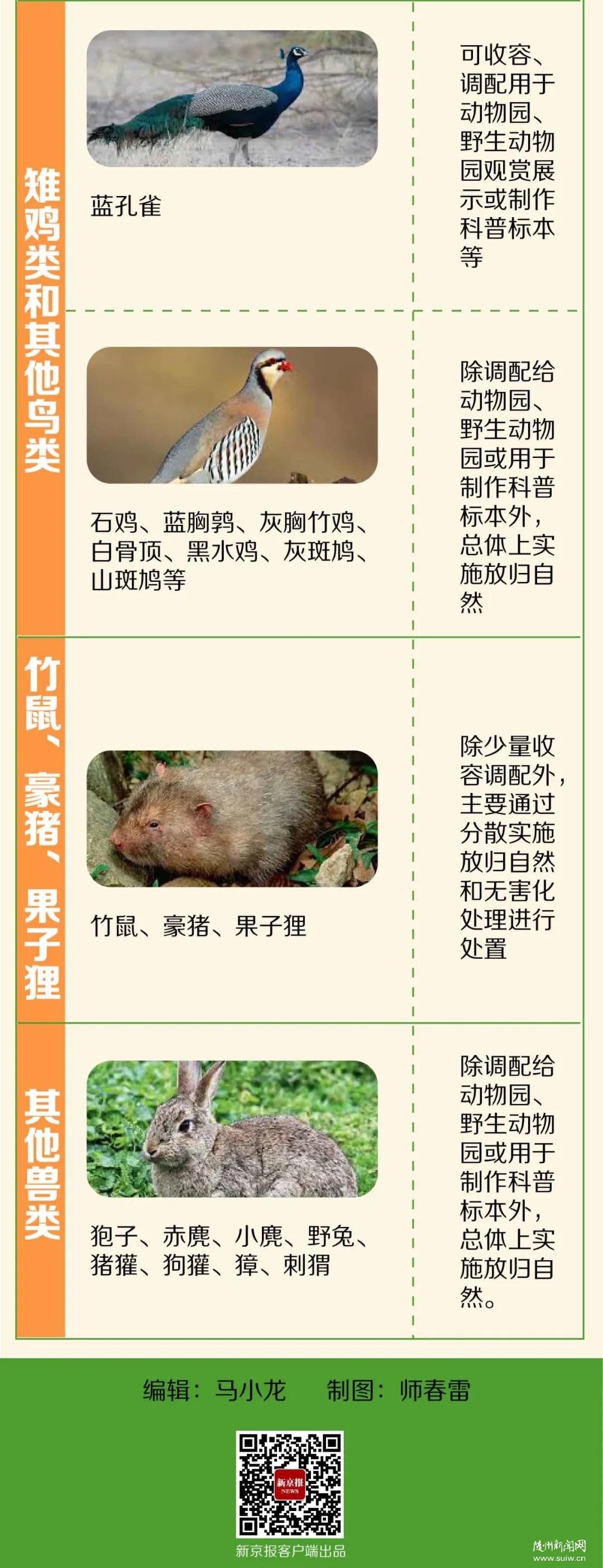 ���������ߡ���Щ������Գԣ�����Ұ�������զ�죿Ȩ���������