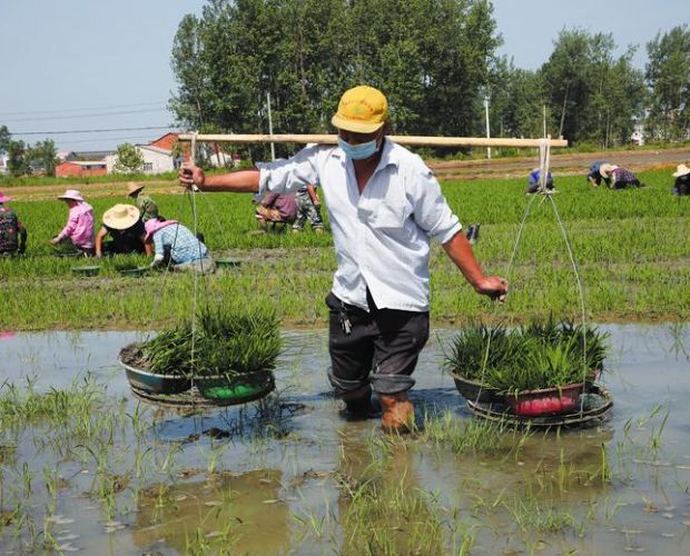 �������ÿ������´���10��ũ������������һ�ɷ�æ����