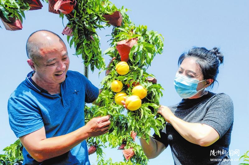 ���ػ�����������