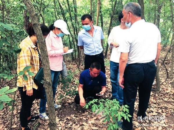 �߳没��ľ����ר����Ƶ���