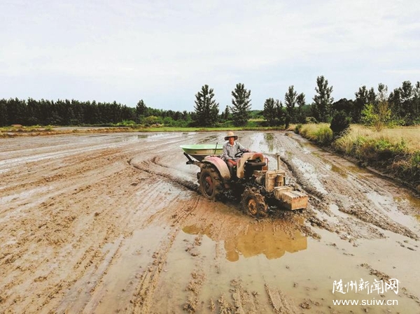 ���ݴ��조�㵾�����򹫹�Ʒ��