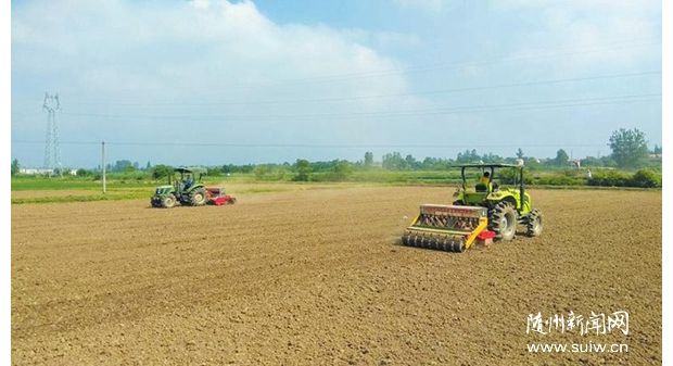 ���ּ����Ȳ���