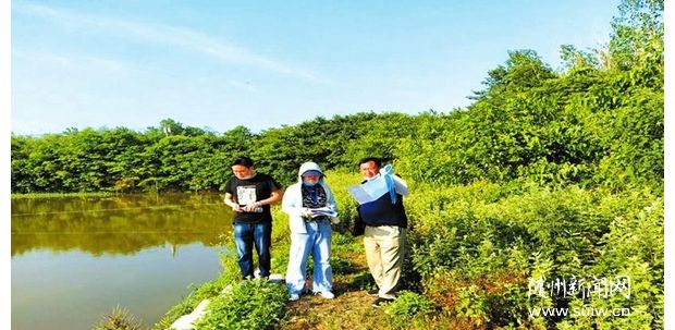 �߱�׼ũ�ｨ����Ŀ���