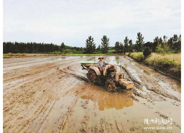 ���조�㵾�����򹫹�Ʒ��