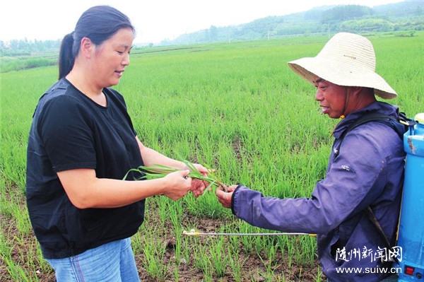 ֣�����ӿ�չ��ȫ�������