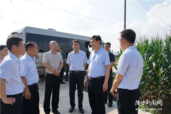 �����:�Ծ�ս��ʤ�����ĺ;���ȫ����Ӯ��ƶ����ս