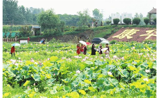 �ɻ�ʢ��������