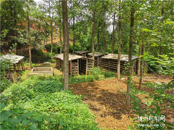 ����ƶ���᡿���ɽ�羰��ʤ��:�˲�ҵ����·