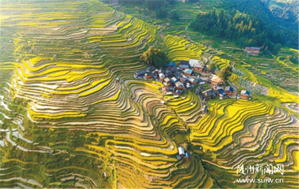 ���ݹ��ƶ�ս9�����ƶ����