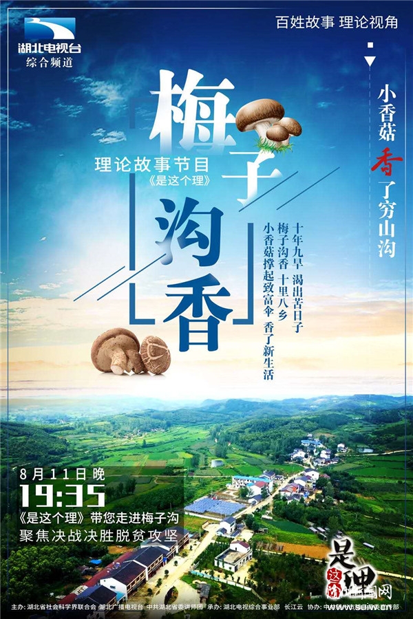 �����������÷�ӹ��㡷��������̨�ۺ�Ƶ��19:35����