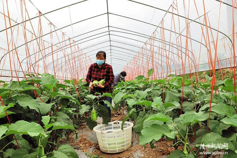 ����180�����˻��紴ҵ