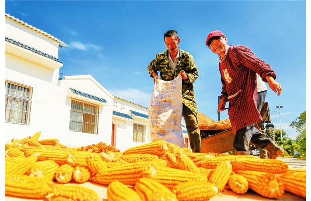 ����ƶ���᡿��ɹ����