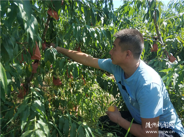 ���������ǵ�С�����������:�������ӡ����С��·