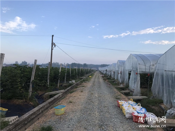 ���������ǵ�С��������ҺӴ�:�޻��������¸���������