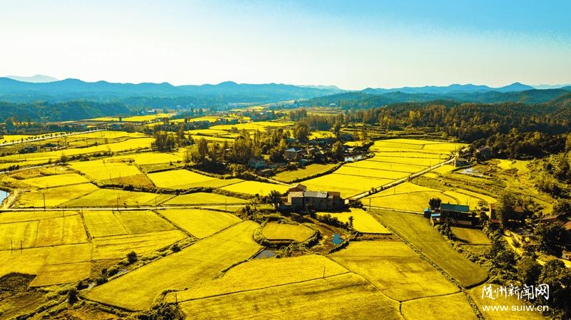 ������֯����