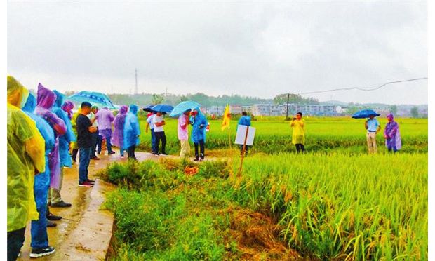 ���ʵ���ҵ��չ��Ħ�