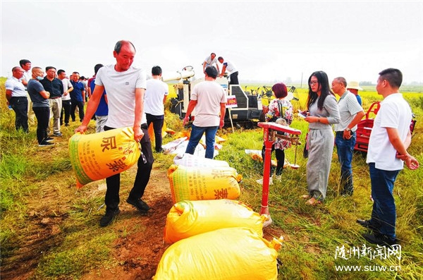 �㵾������