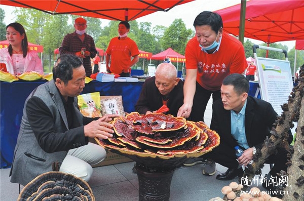 �Ƽ�������֥��չ